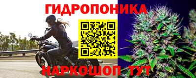 ПСИЛОЦИБИНОВЫЕ ГРИБЫ Кунгур