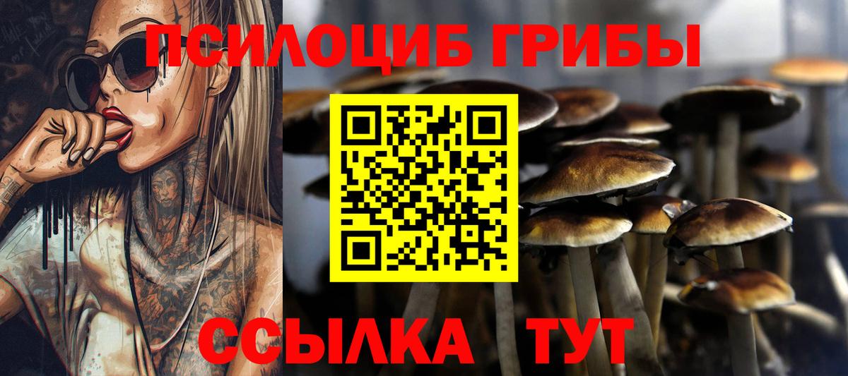 Знаменск  Псилоцибиновые грибы мицелий  хочу   Вход с VPN  Псилоцибиновые грибы MAGIC MUSHROOMS 
